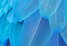 mobile breakdown patterns analysis