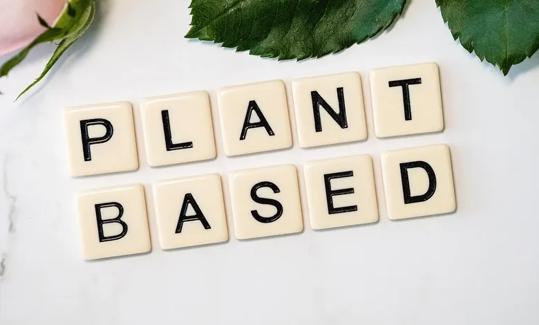 Vegan Teacher Net Worth