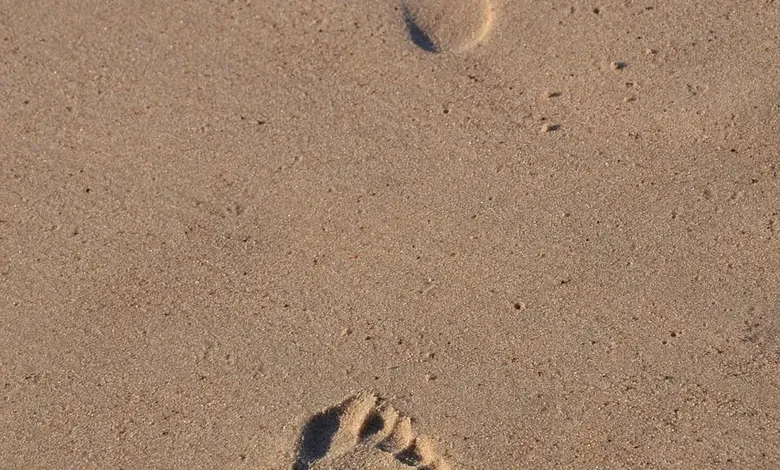 fraud hotline caller tracing