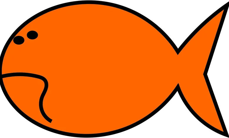 eel results and predictions