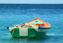What Is Asian Jeff's Net Worth