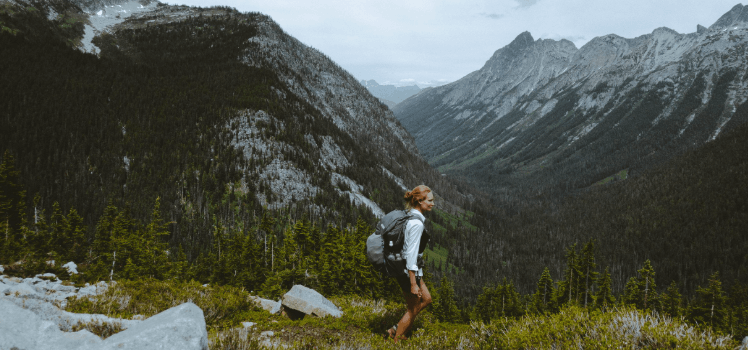 Roaming Wild Rosie Net Worth