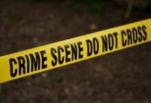 fraud caller investigation hotline