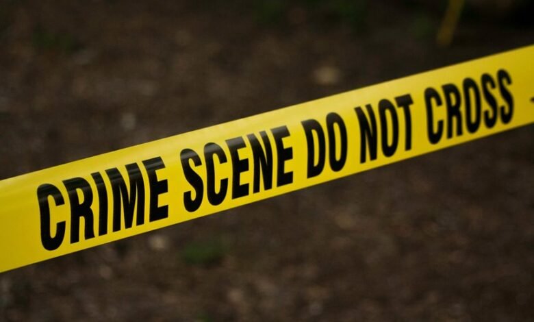 fraud caller investigation hotline